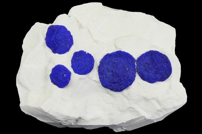 Dark Blue Azurite Suns on Siltstone - Australia #136595